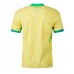 Brazil Replica Home Shirt Copa America 2024 Short Sleeve